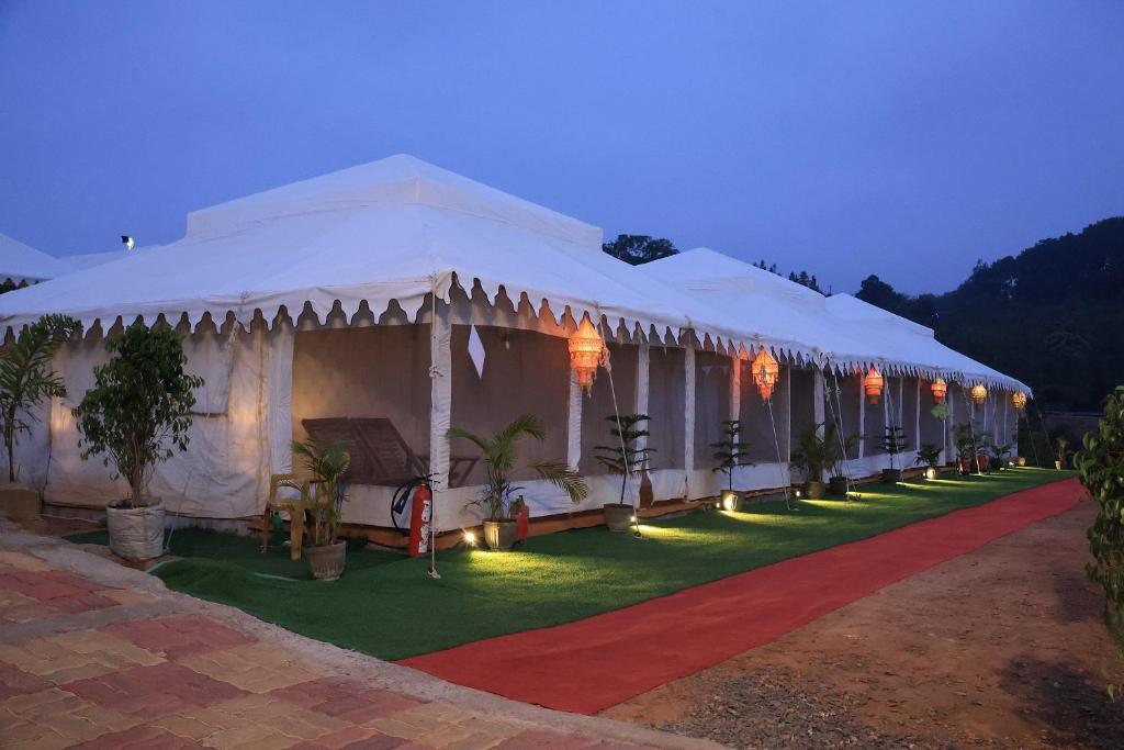 1 Night Package